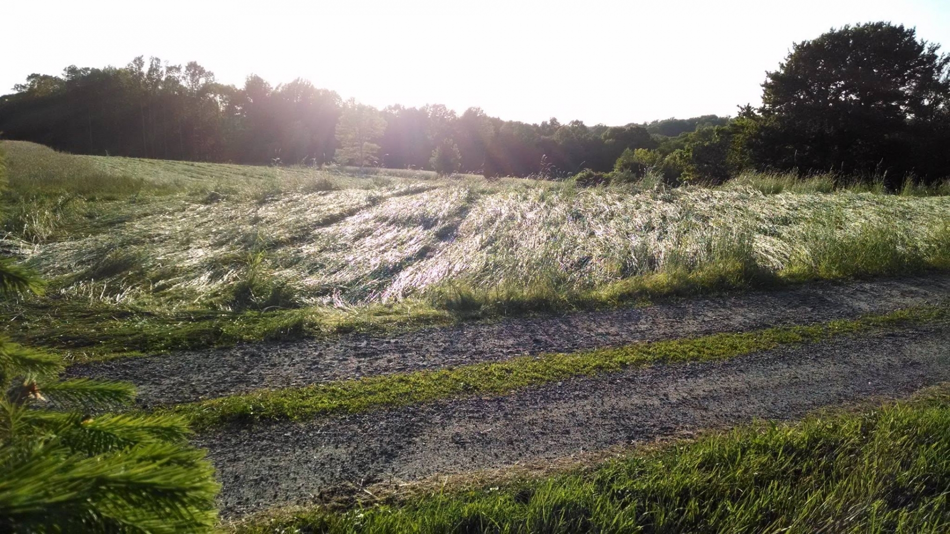 the farm as the sun is setting