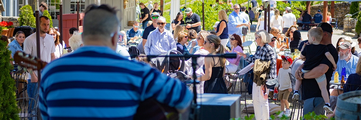 Artist on stage facing Jones Winery Summer Music Series crowd