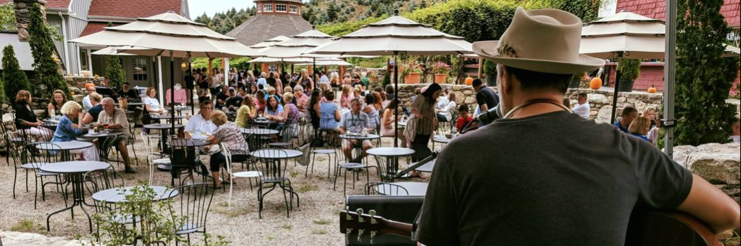 Artist on stage facing Jones Winery Summer Music Series crowd