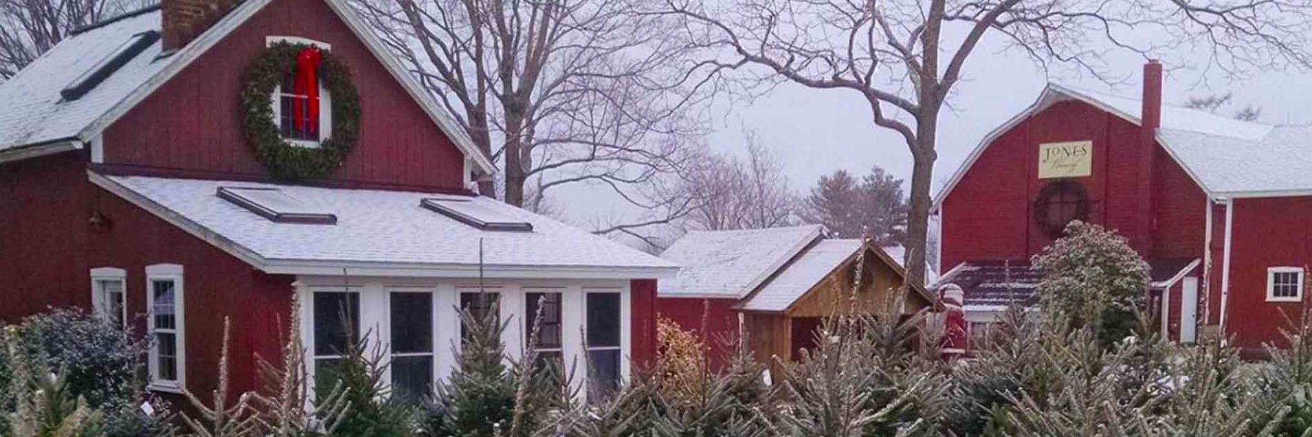 jones-family-farms-christmas-barnyard-shops