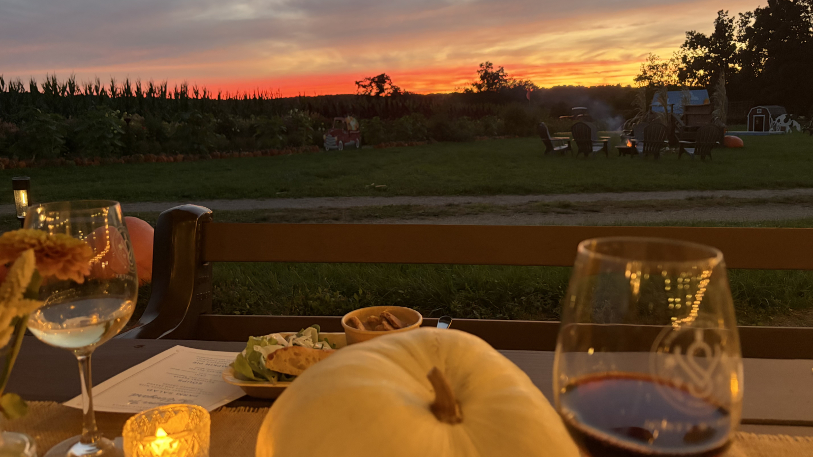 Enjoying wine at Pumpkinseed Hill