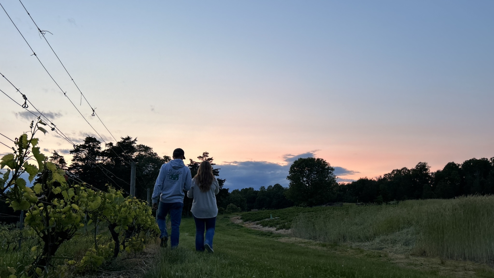 walking through the strawberries