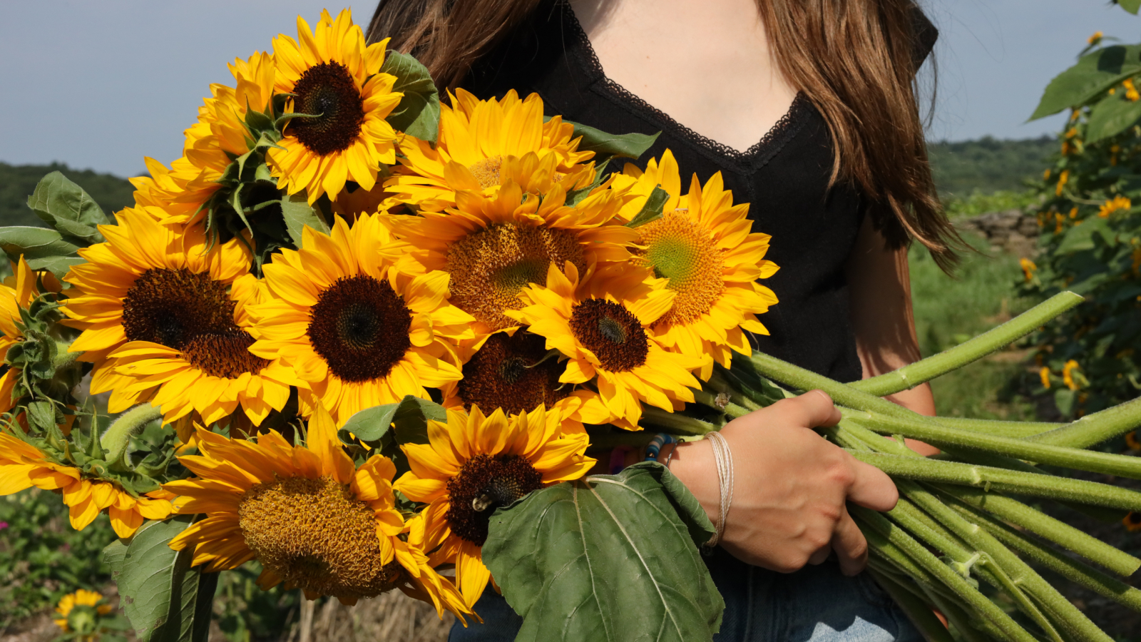 bouquet of sunflower at Jones Winery