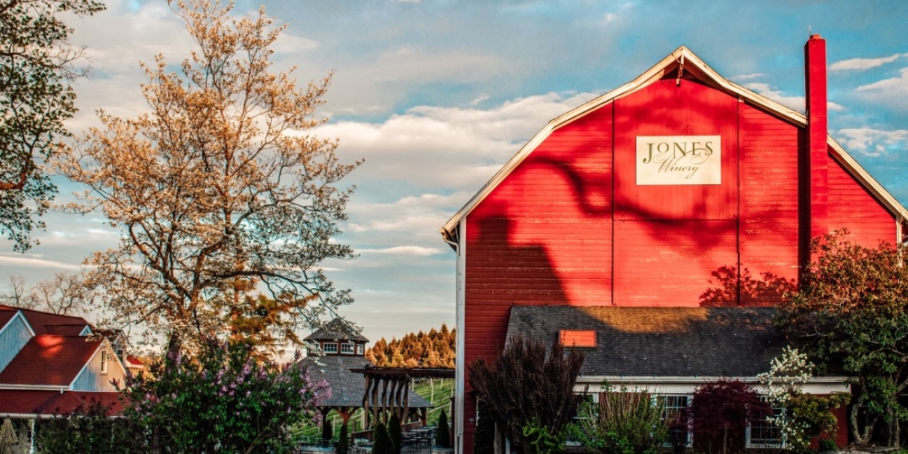 tree shadows cross the barn at the end of a summer day