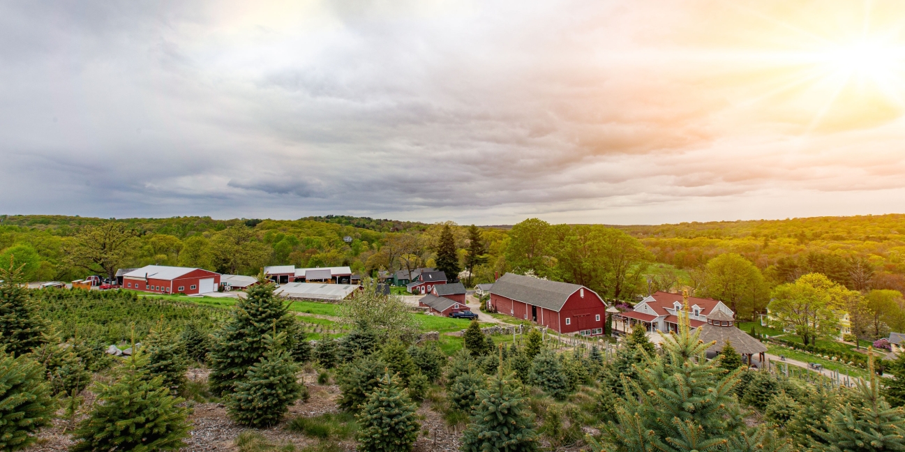 Spring at the Winery