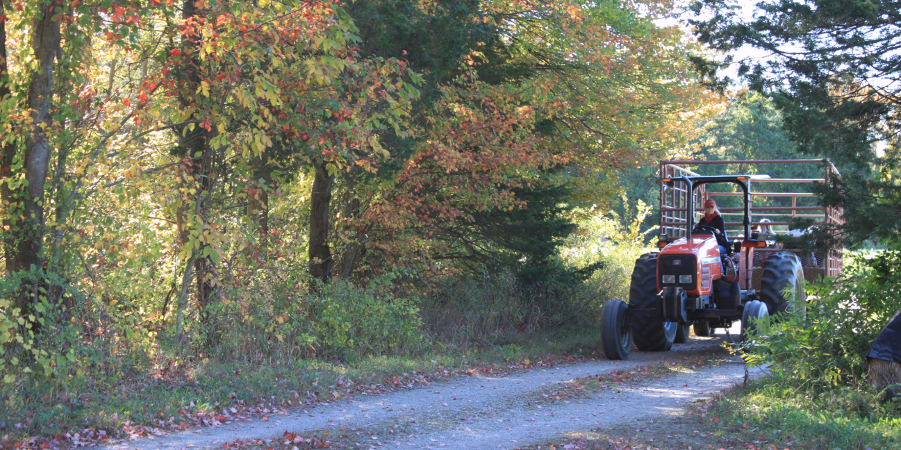 school tour hayride