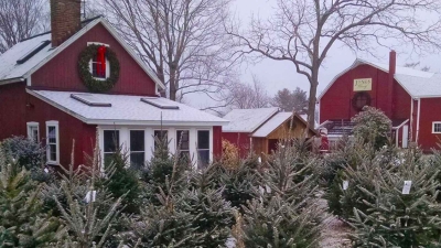 jones-family-farms-christmas-barnyard-shops