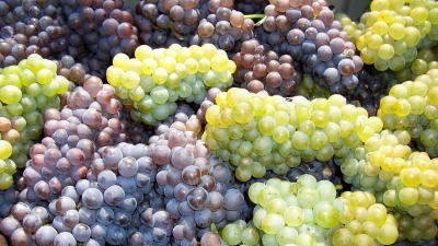 grapes for Irish Gold Wine Cocktail