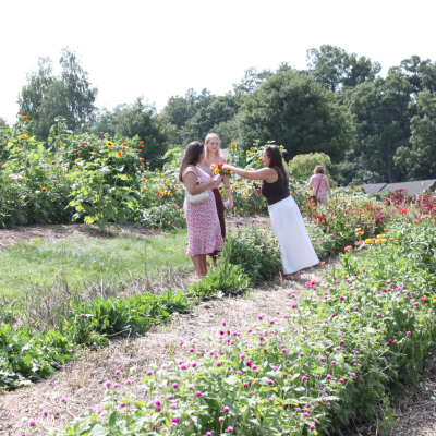 Flower Field at Tasting Room
