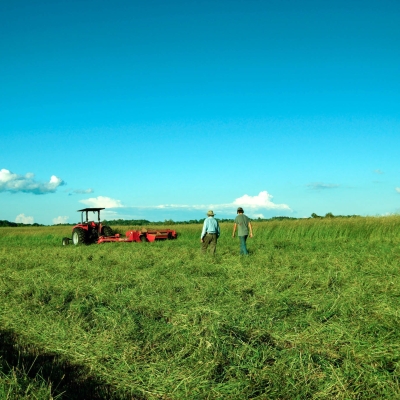 tractor in field in spring