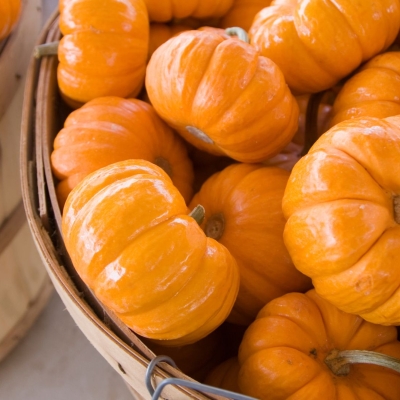 a bowl of Jack-Be-Little Pumpkin Pies on the table