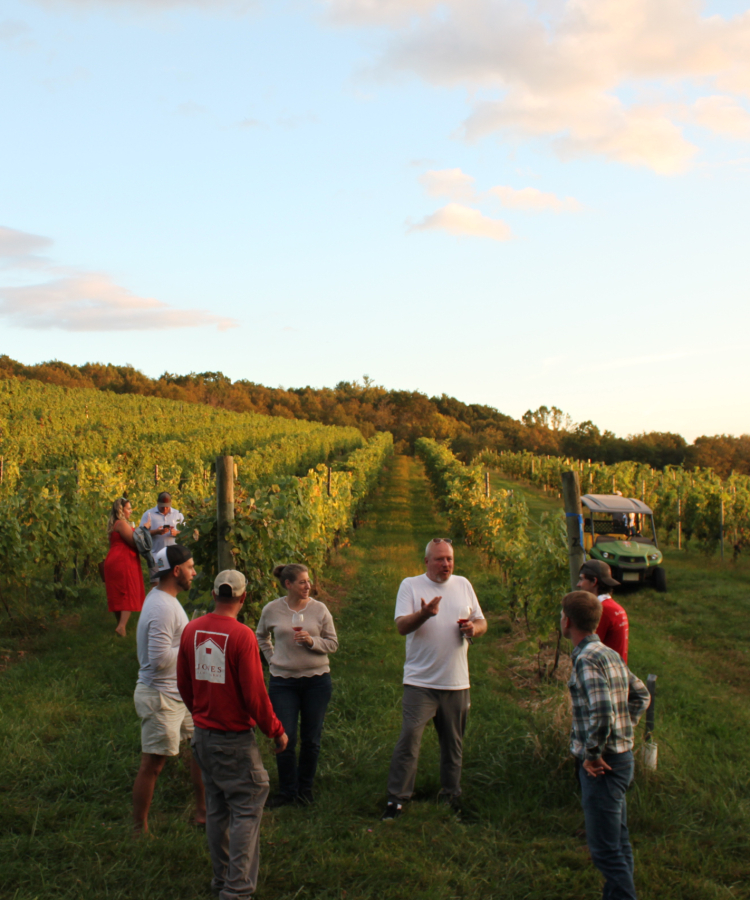 VSC Vineyard Tour