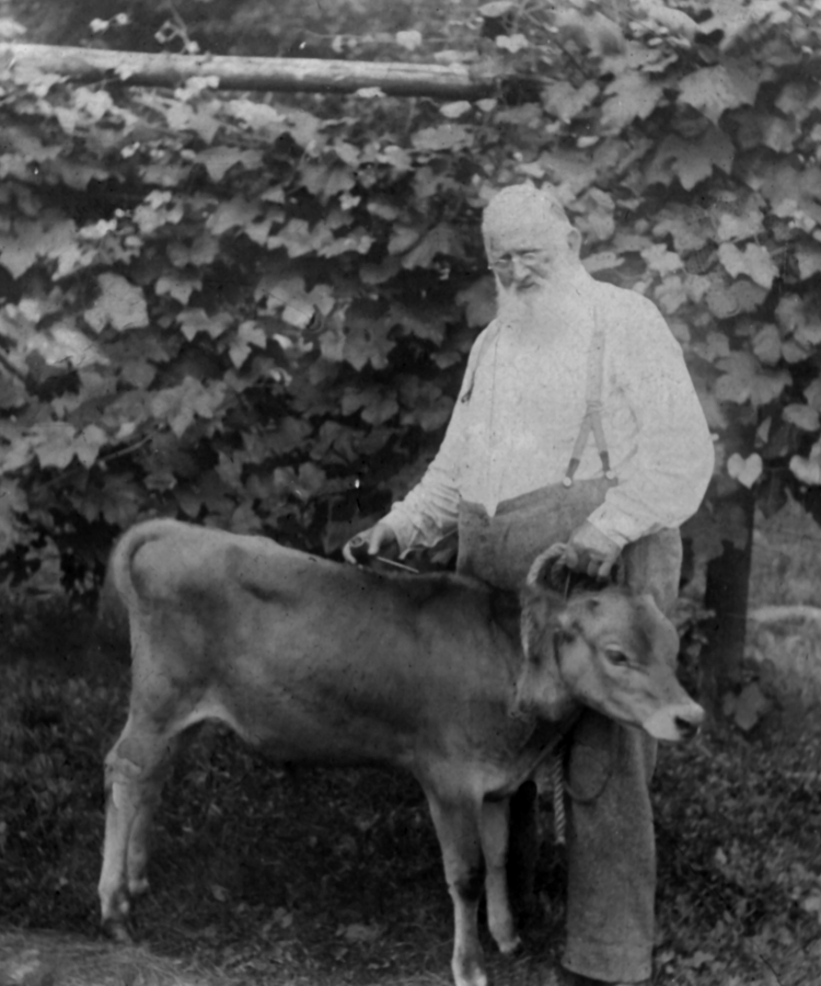 Philip Jones with calf in front of grapes