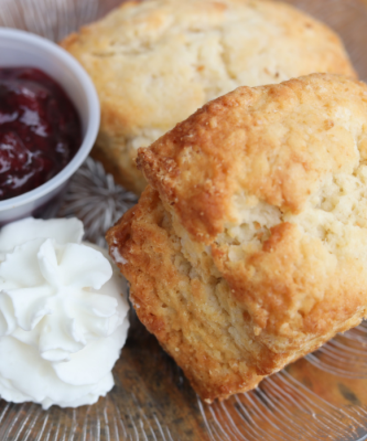 scone plate